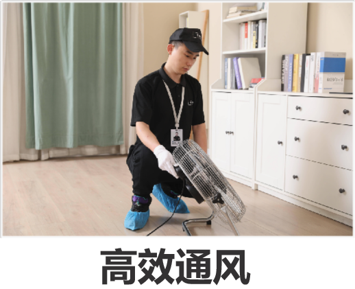 武汉性价比高的上门除甲醛直营服务商怎么选