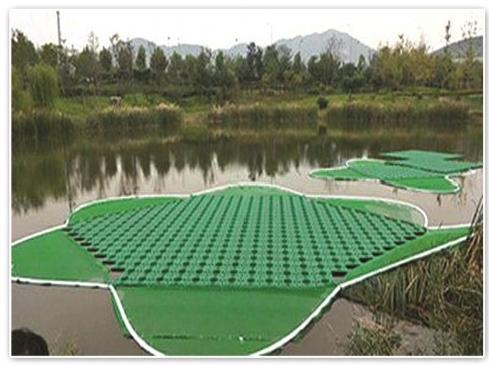 选对水生植物培育基地,如何看清水生植物产业格局避免隐性损耗