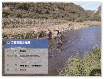 2026河北水生植物供应商口碑之选:技术型服务商如何重塑项目竞争力
