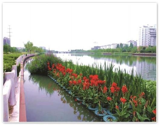 雄安新区水生植物培育基地选型指南:如何锁定可靠服务商