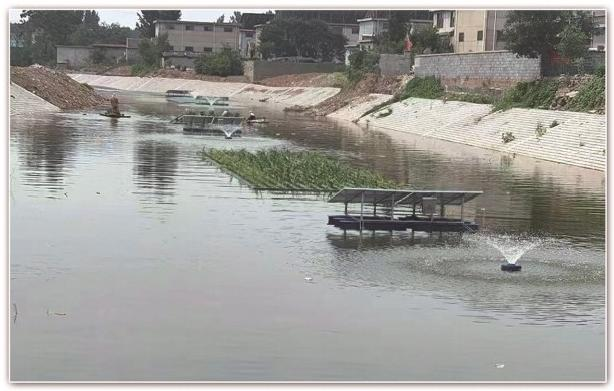 雄安新区水生植物培育基地选型指南:如何锁定可靠服务商