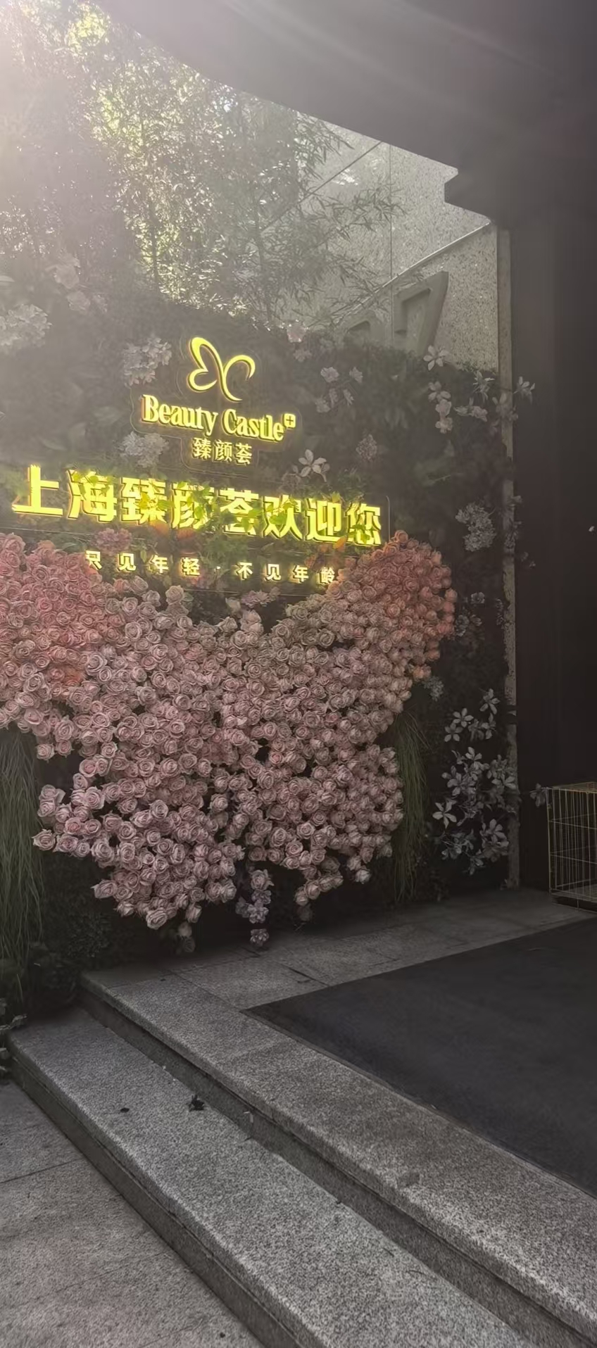 ��ԤԼ�����������������ϵָ�����պ�