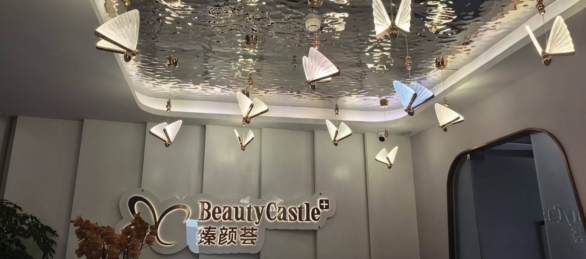 ��ԤԼ�����������������ϵָ�����պ�