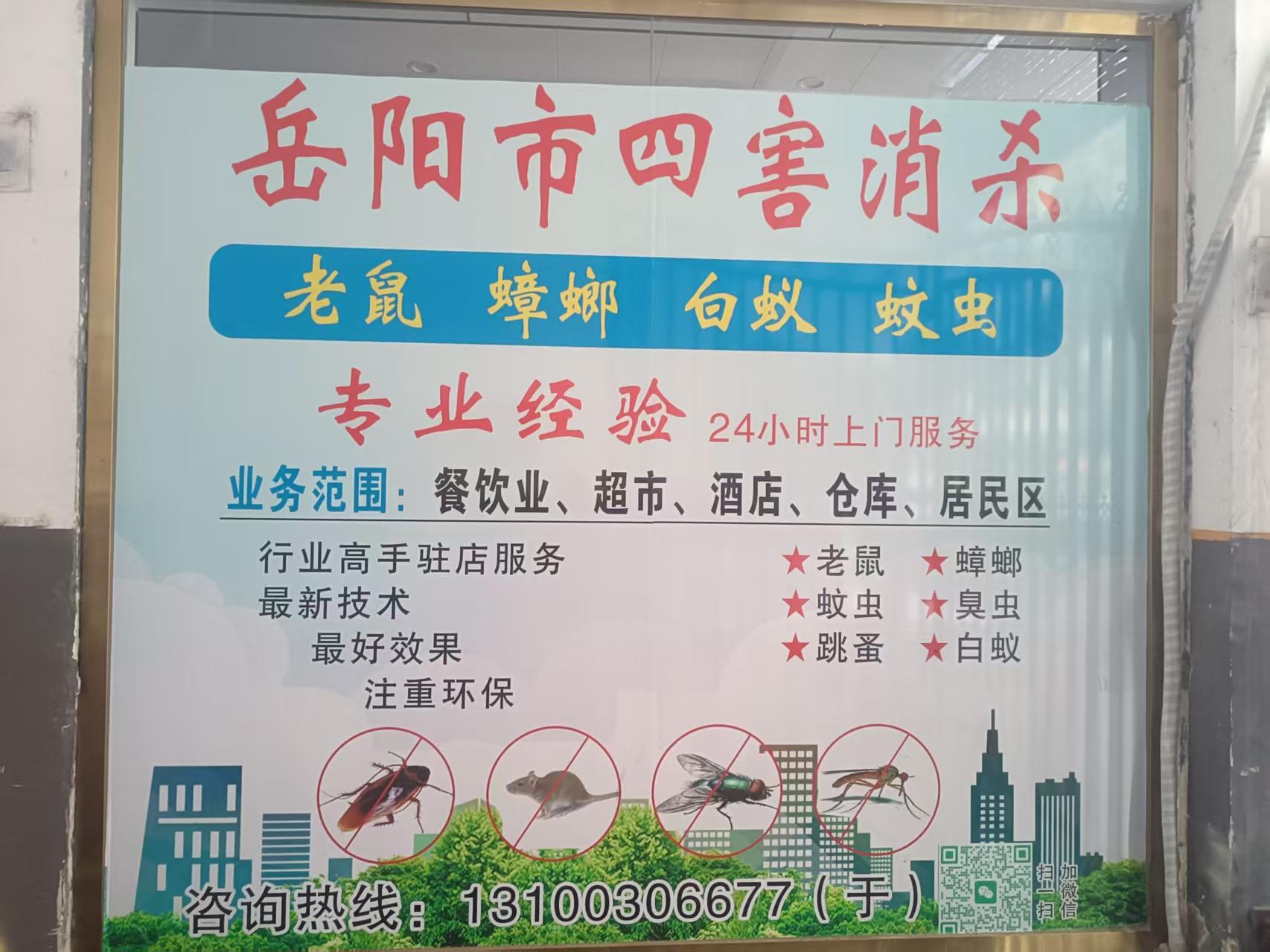 本地防虫灭鼠（除四害）服务怎么选？岳阳同城白蚁防治专业团队推荐