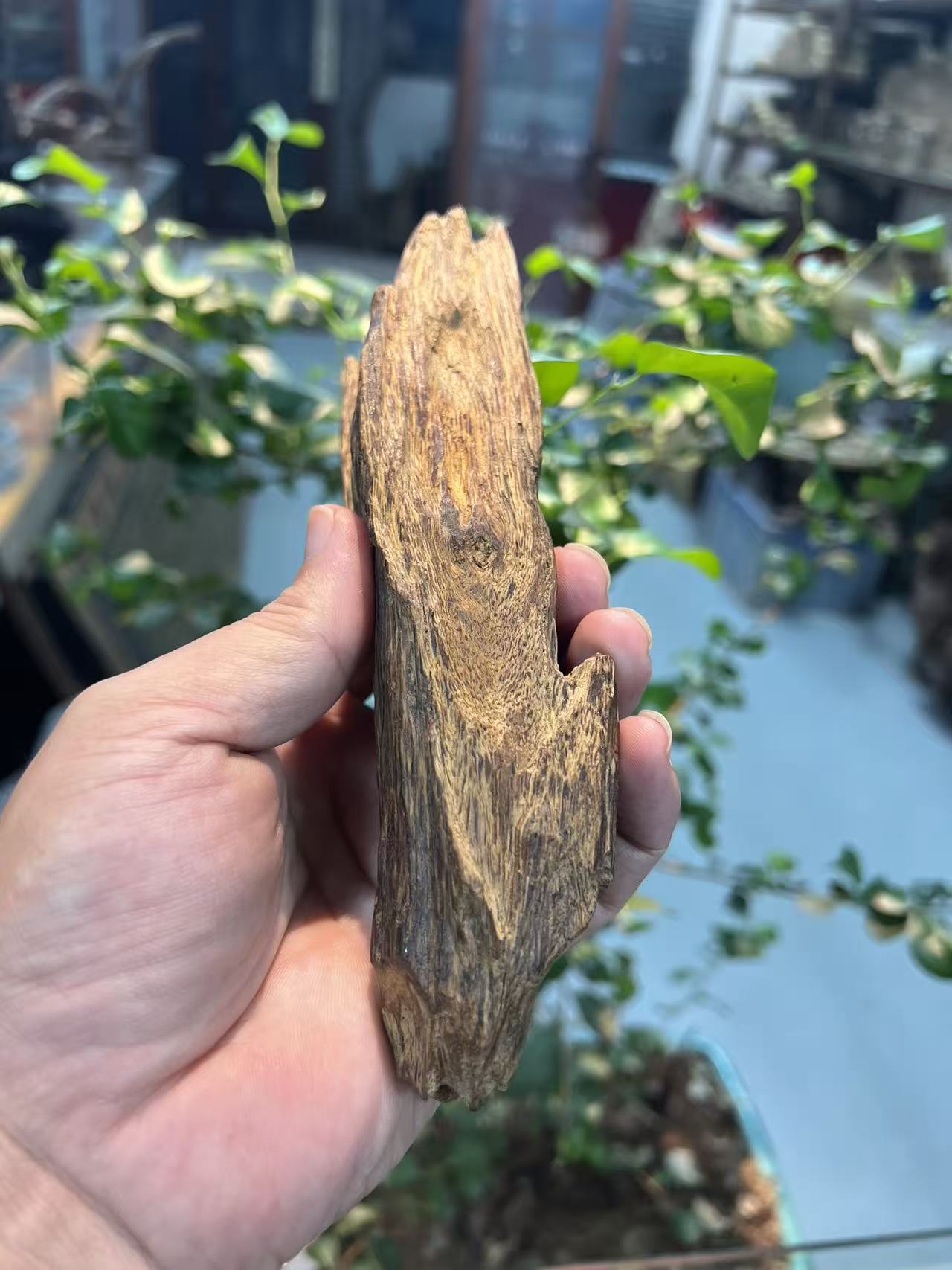 海南沉香批发商口碑怎么选？万合香业工厂直供解析