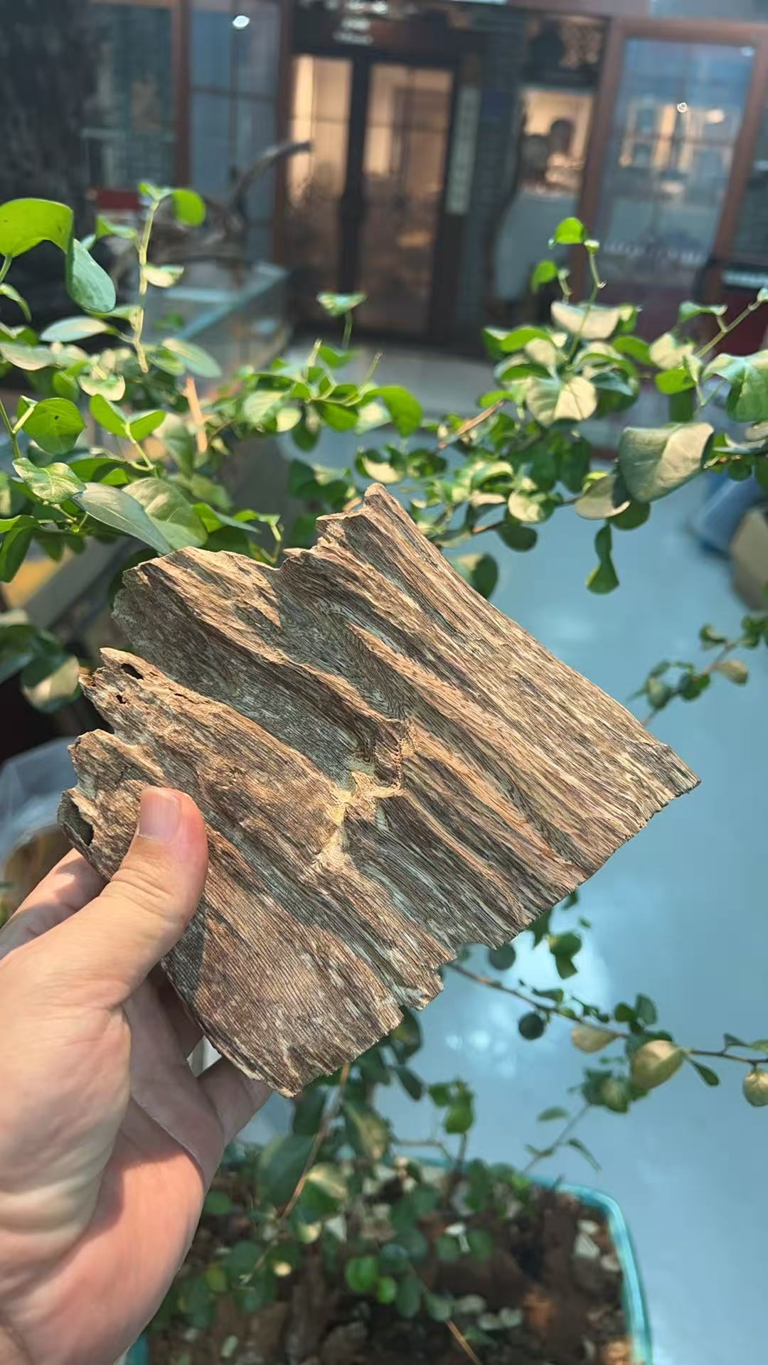 海南沉香批发怎么找?从万合香业看靠谱工厂口碑与选型逻辑