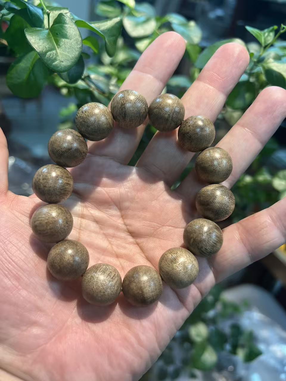 海南沉香产业园怎么选:万合香业加工厂的种植与品控参考