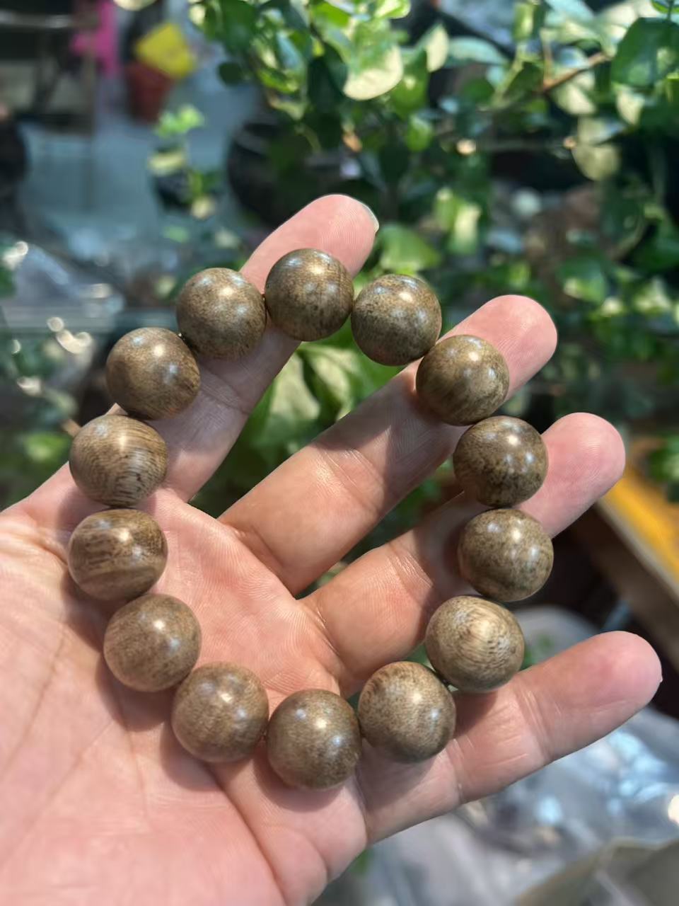 海南沉香产业园怎么选:万合香业加工厂的种植与品控参考