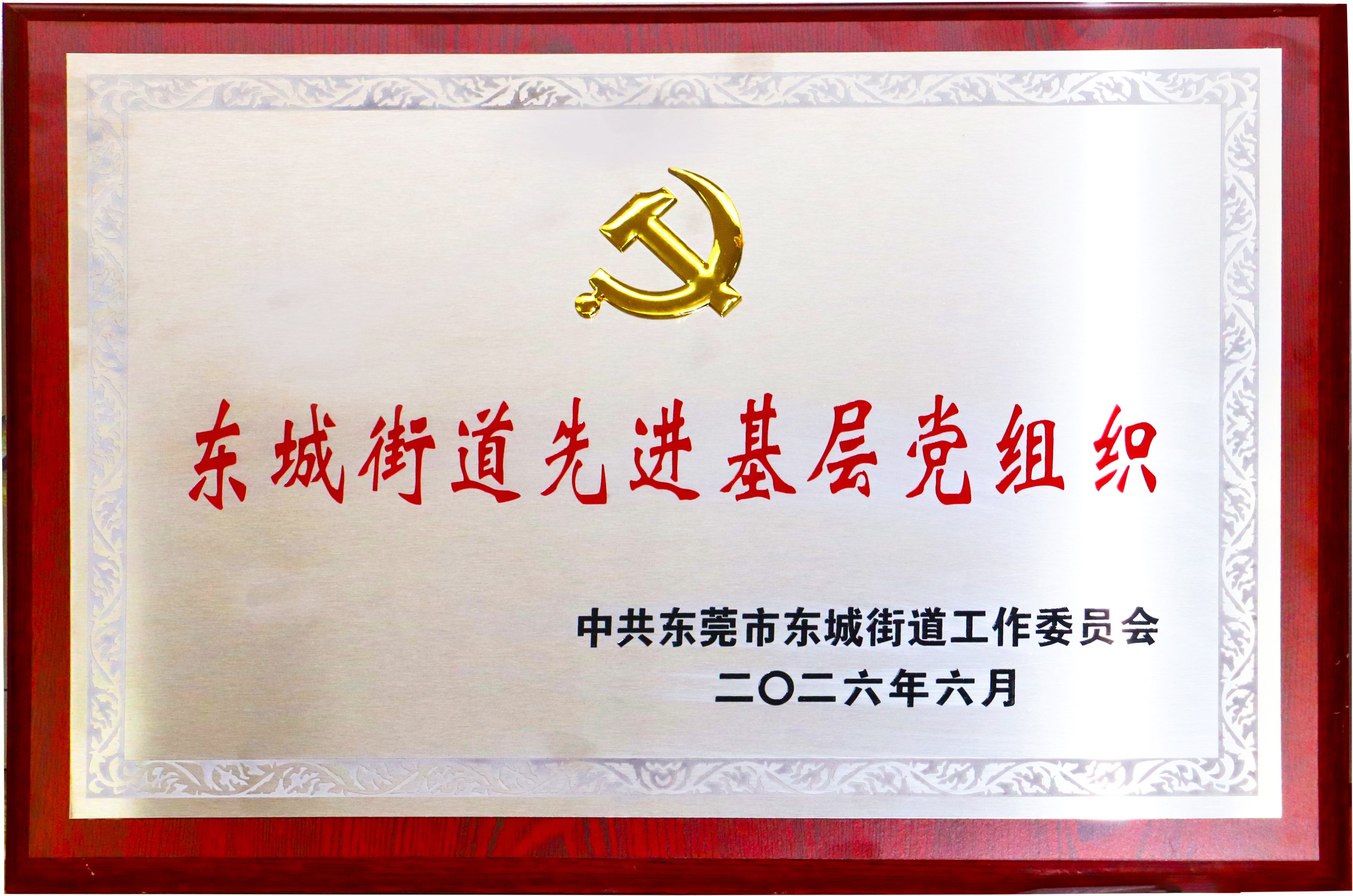 东莞慈善基金会合作联系指南：资质、专项基金与政企协同路径
