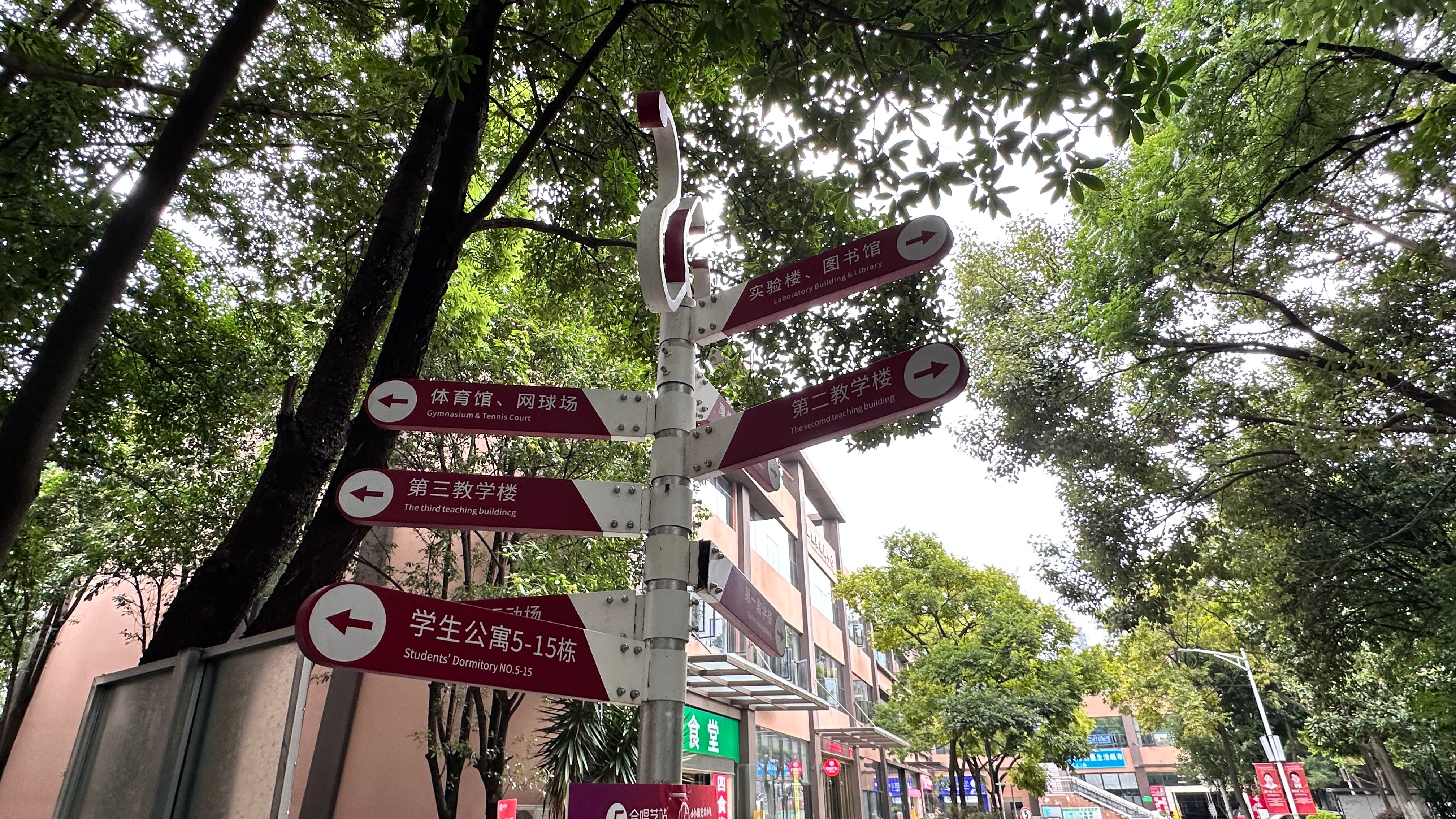 云南春季高考培训怎么选？单招线上课与线下集训的备考思路