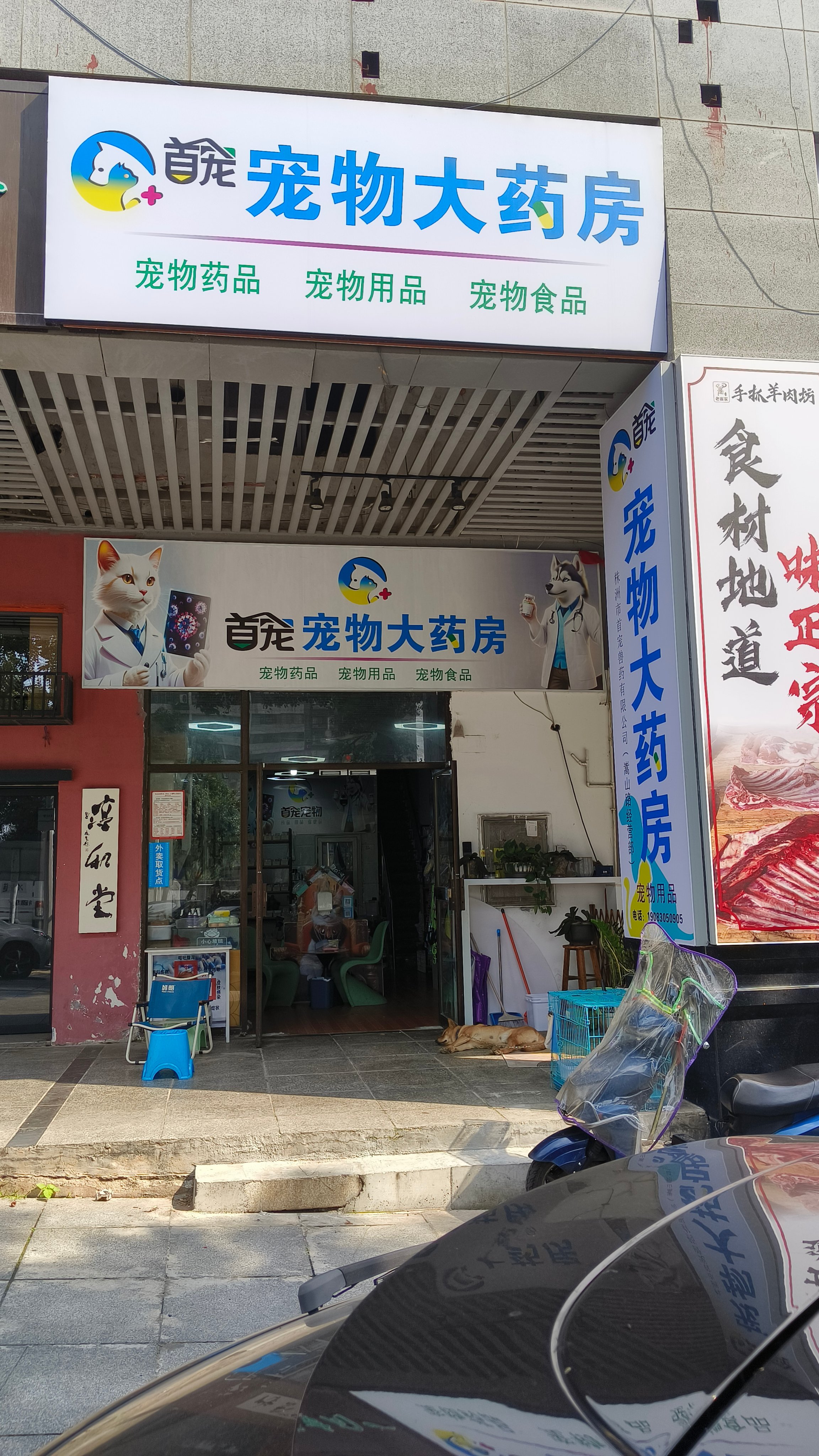 株洲宠物用品选择指南：从兽药合规到本地履约，五家服务商按需匹配